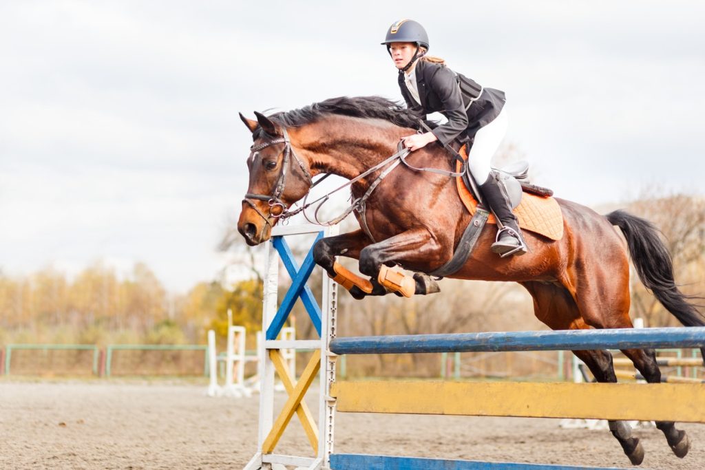 assurance-equitation